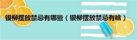 銀柳擺放位置|2024銀柳風水佈局指南：招財、人緣、桃花運一次搞定！